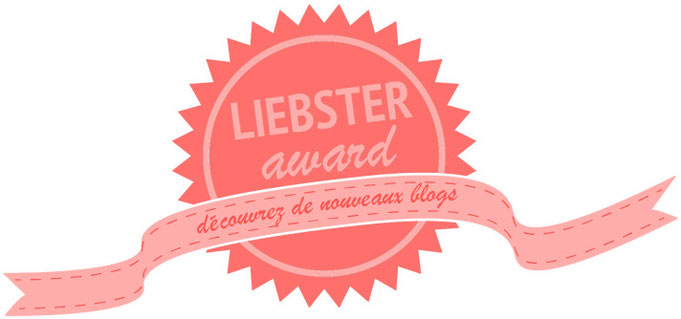 Slip'in Car nominé au liebster award